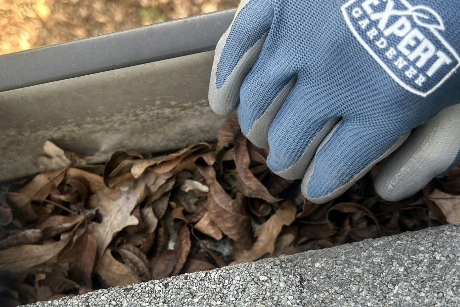Lexington Gutter Cleaning