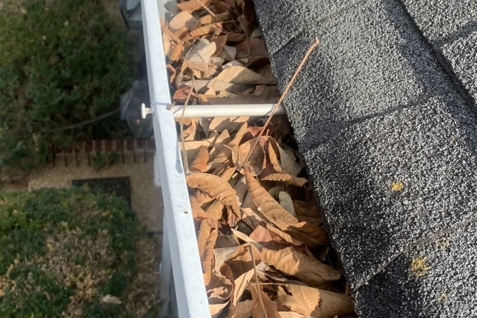 Lexington Gutter Cleaning
