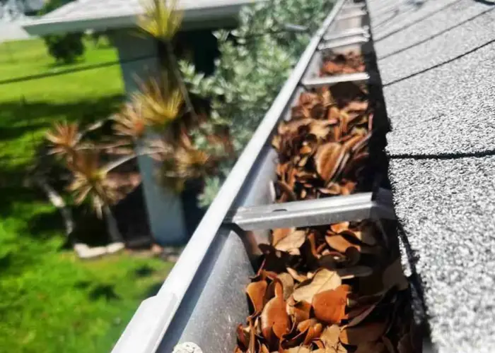 Gutter Cleaning Lexington KY home page